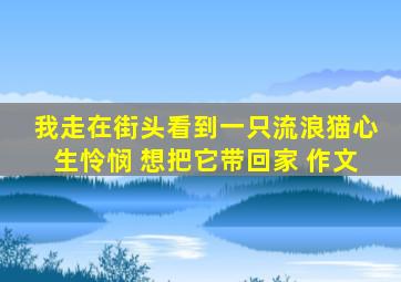 我走在街头看到一只流浪猫心生怜悯 想把它带回家 作文